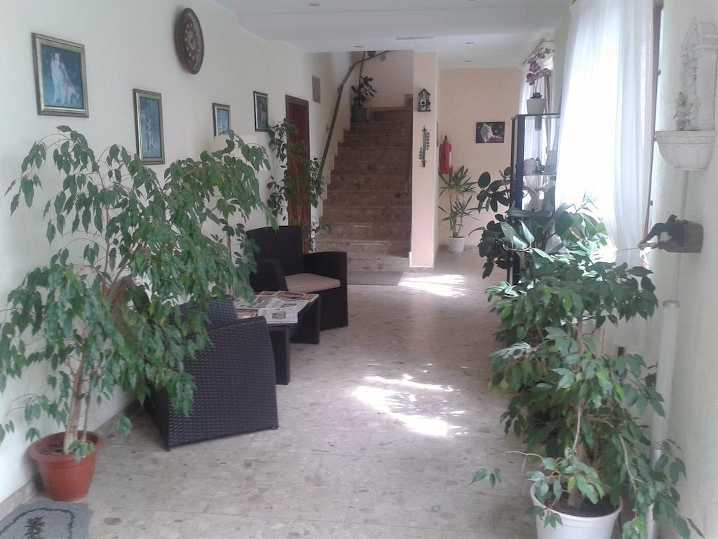 Hotelpension Schwalbennest 벤츠 외부 사진